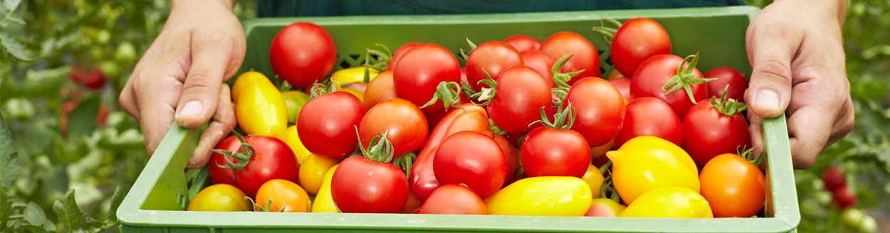 NationalGeographic_ Food_1270360_RussianTable_630x315